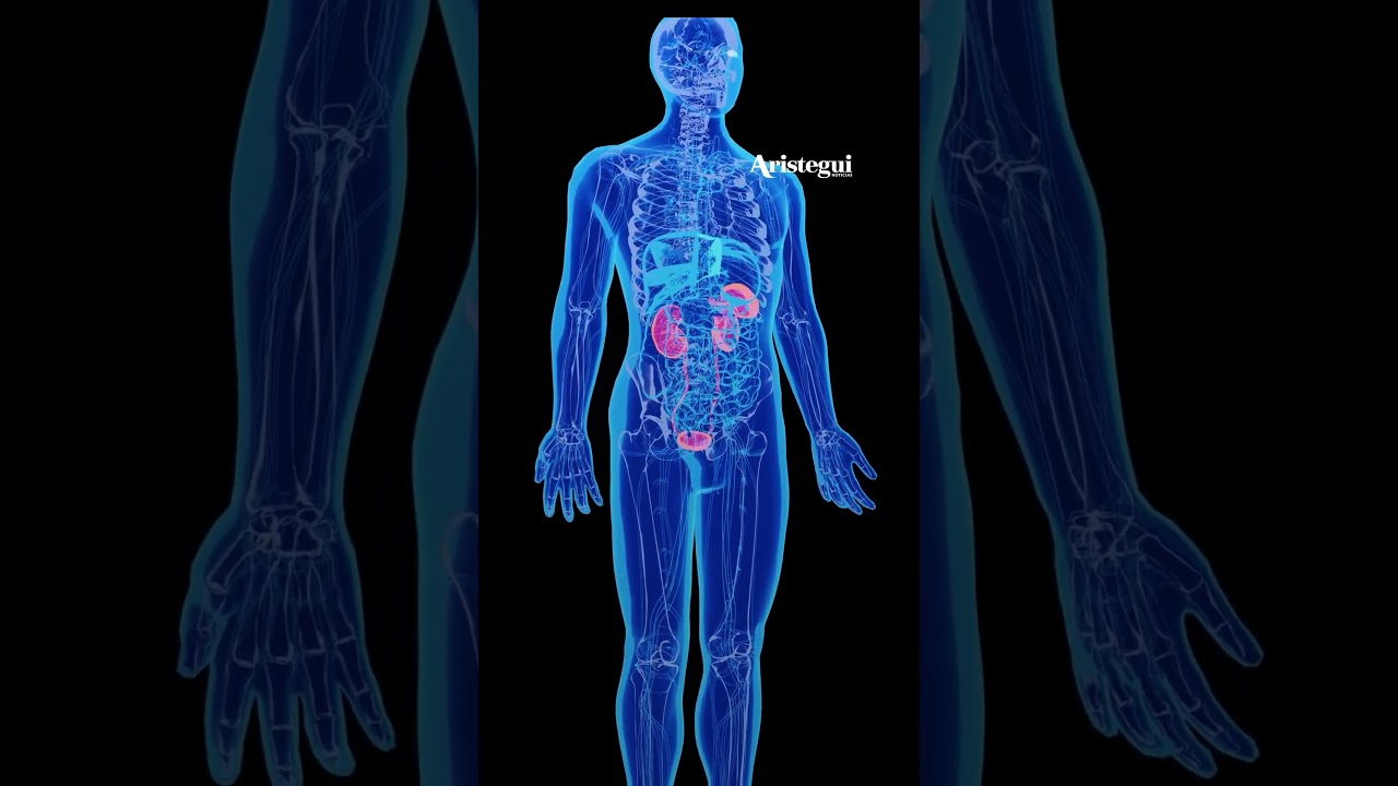 El lugar donde cay&oacute; 'El Mencho'