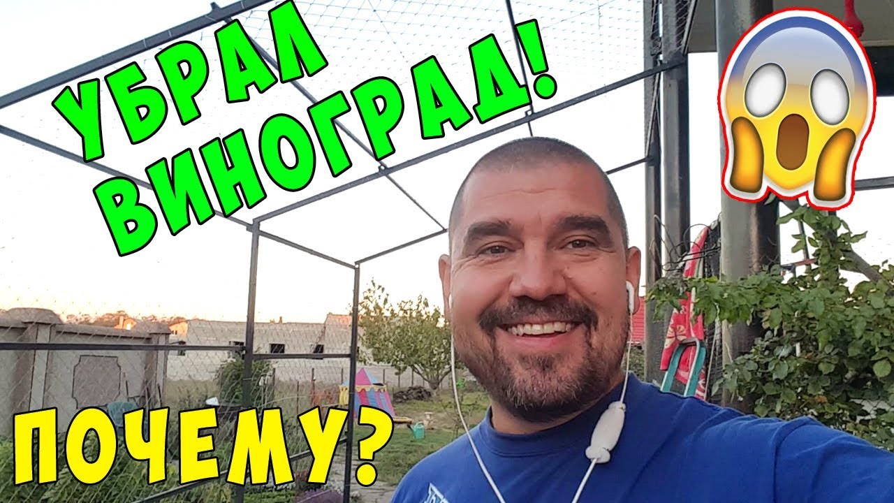 ПОЧЕМУ Я УБРАЛ ВИНОГРАД С АРКИ !!! Что будет вместо него ???
