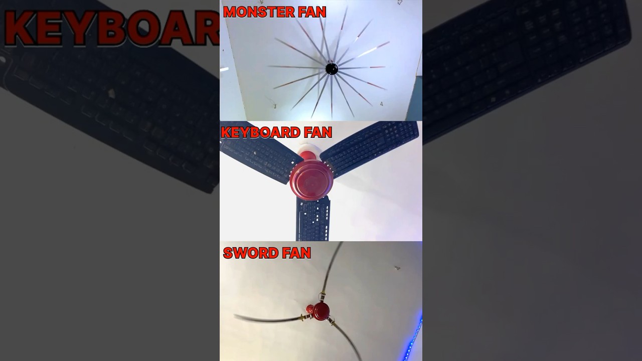 amazing unique funny FAN #shorts