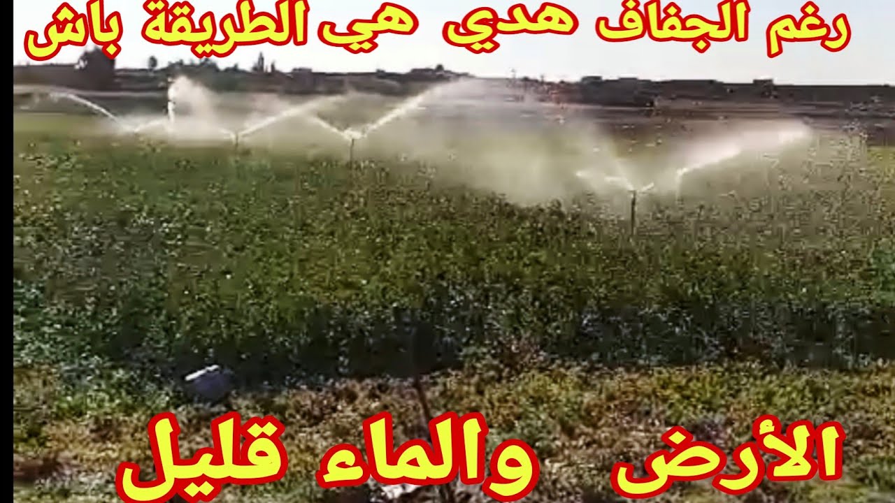 طريقة سقى المزروعات في الجفاف رغم تاخر الامطار عن الاراضي الزرعية في المغرب