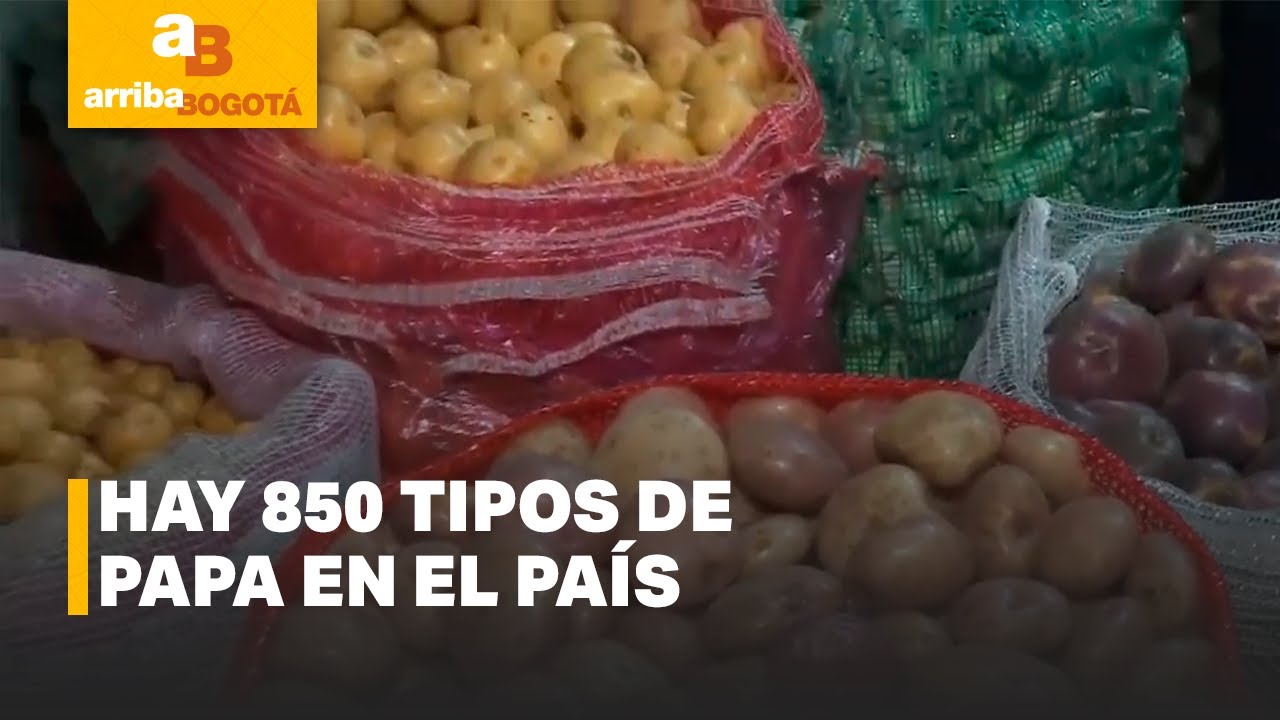 En la plaza con Arriba Bogotá: existen 850 clases de papa en el país | CityTv
