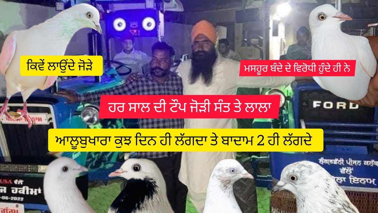 Ik Shonk kabootarbaazi Da Sant Mamupur Part 2 ਜੋੜਿਆਂ ਤੋਂ ਲੈ ਉਡਾਣ ਤੇ ਖੇਡ ਤੱਕ ਬਾਦਾਮ ਤੇ ਆਲੂਬੁਖਾਰਾ
