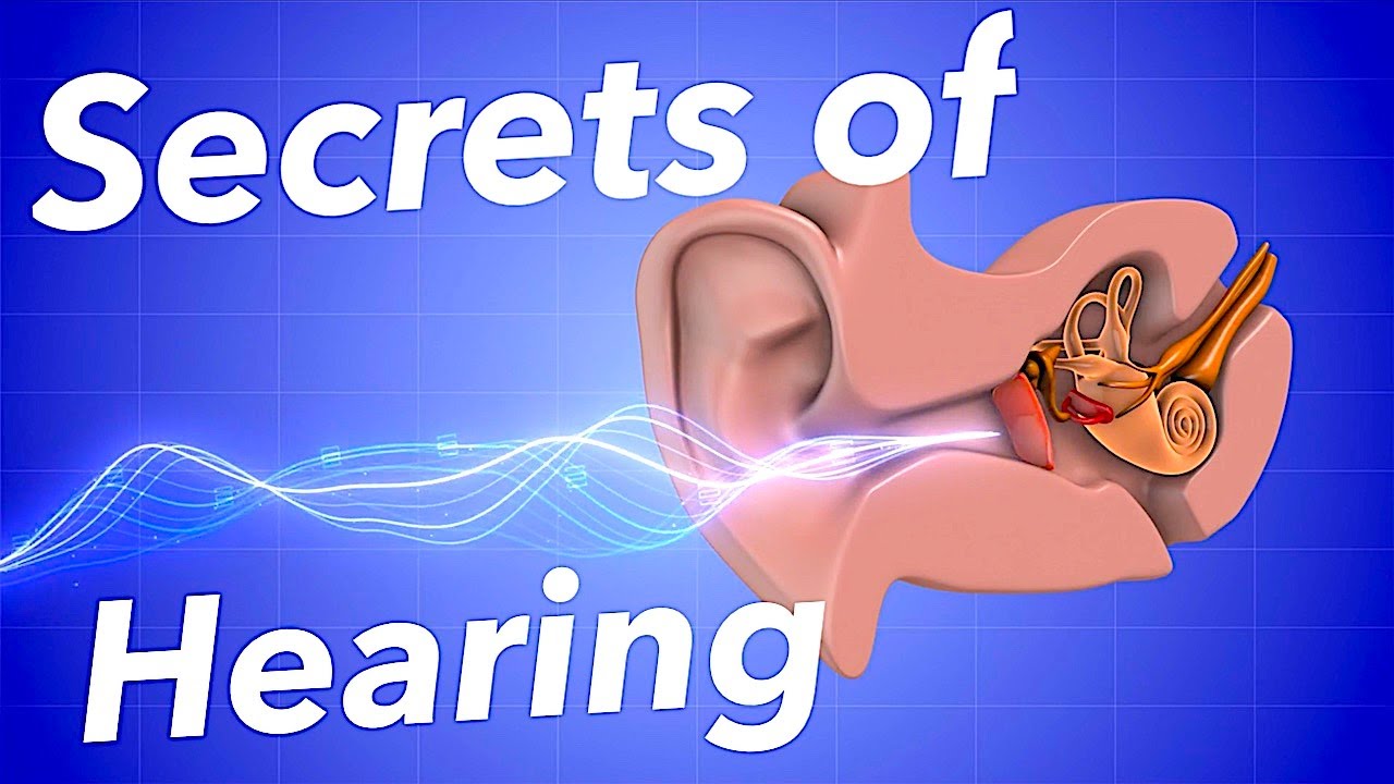 3 Secrets of Hearing in NOISE