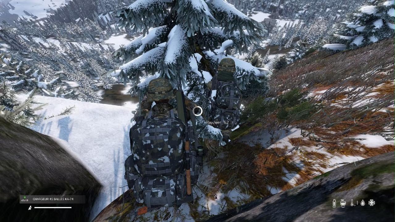 DayZ