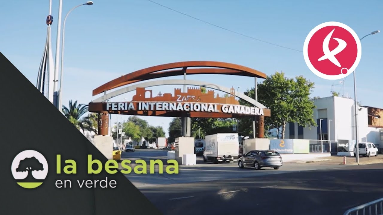 La Feria Internacional Ganadera de Zafra: un millón de visitantes para el 2023 | La Besana en Verde
