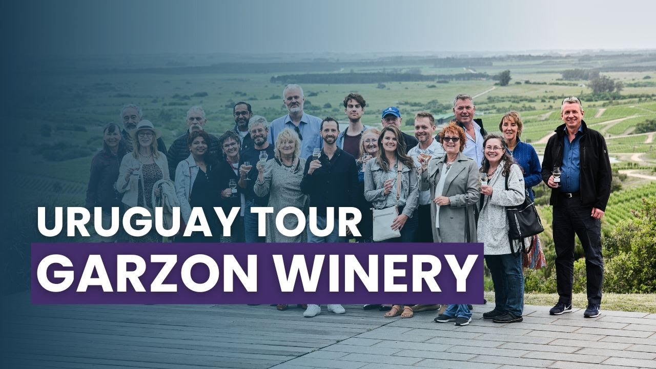 Exploring Garz&oacute;n Winery: Uruguay&rsquo;s Hidden Wine Paradis
