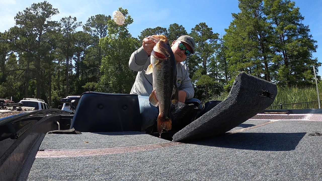 CASTLE HAYNE CLUB TOURNAMENT