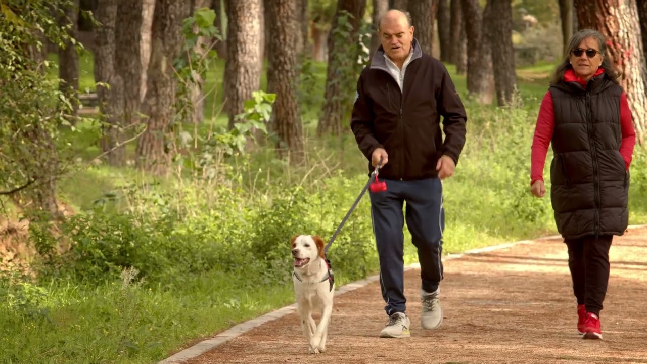 Senda ciclable de Villanueva de la Cañada