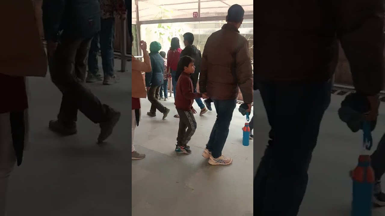 11 जनवरी 2026