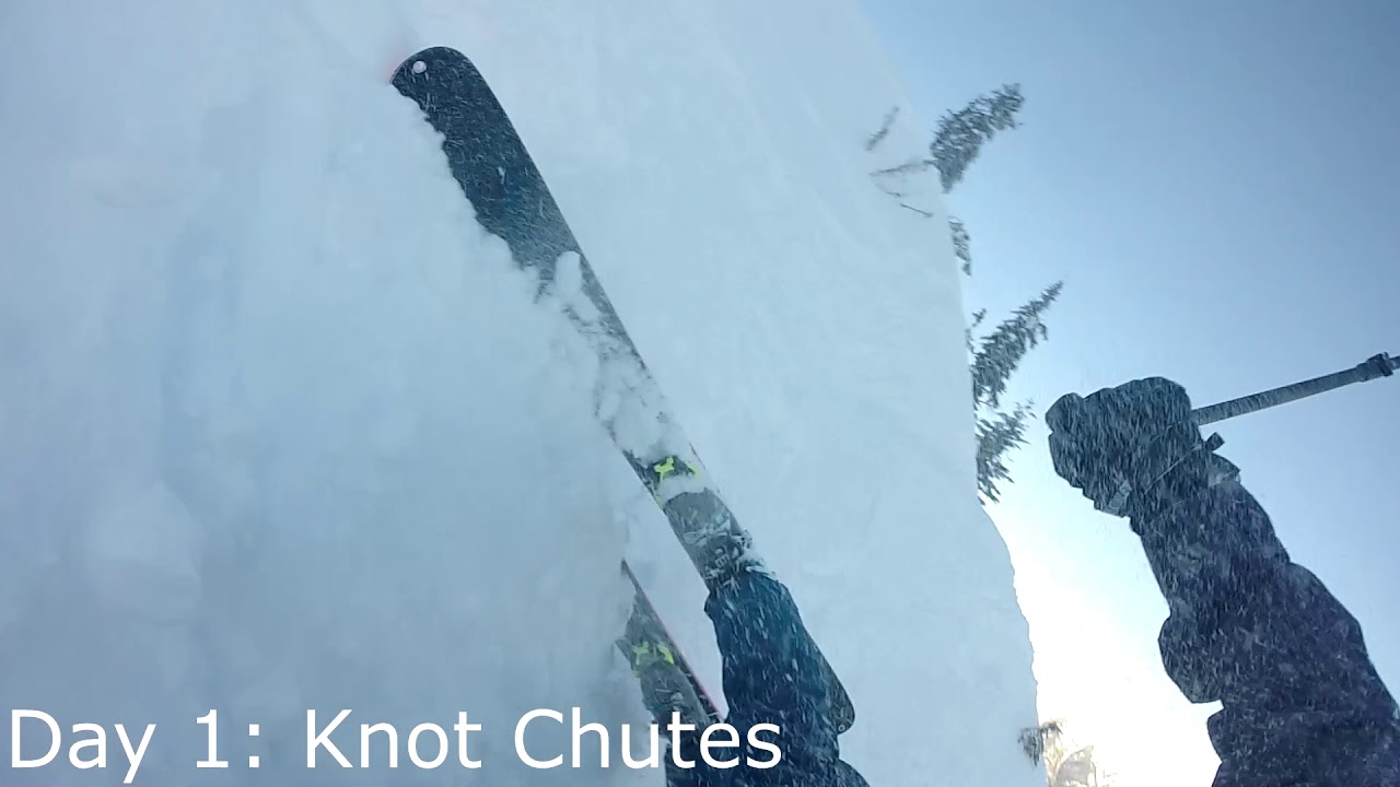 Fernie Skiing Jan 2019