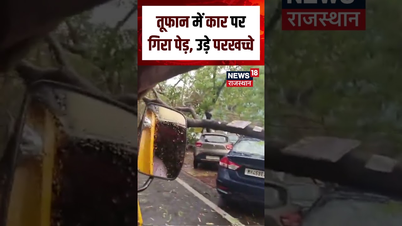 Delhi NCR Weather Update : तूफान में कार पर गिरा पेड़, उड़े परखच्चे | N18S | #storm #heavyrain