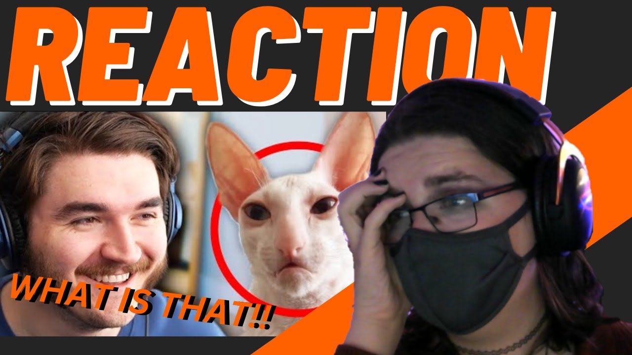 Schlatt DOES NOT Disappoint!!! | Ranking Your PSYCHOTIC Tiktoks reaction