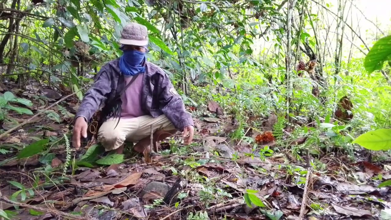 TUTORIAL. Paano ba Gawin ang C-AY. 👉Alamin #kahunter #caytutorial