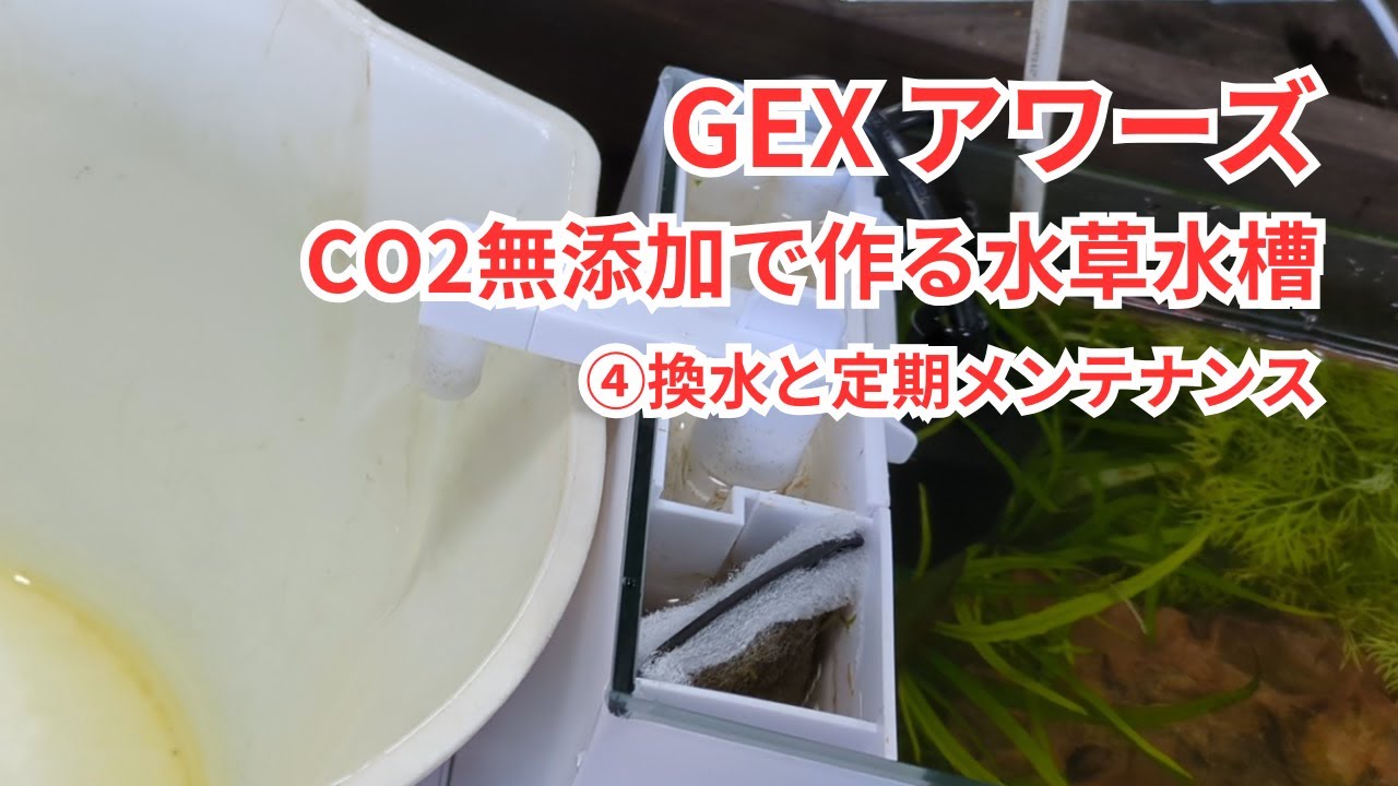 【初心者の方におすすめ！】GEXのオールインワン水槽「アワーズ」で作るCO2無添加の水草水槽 ④換水と定期メンテナンス