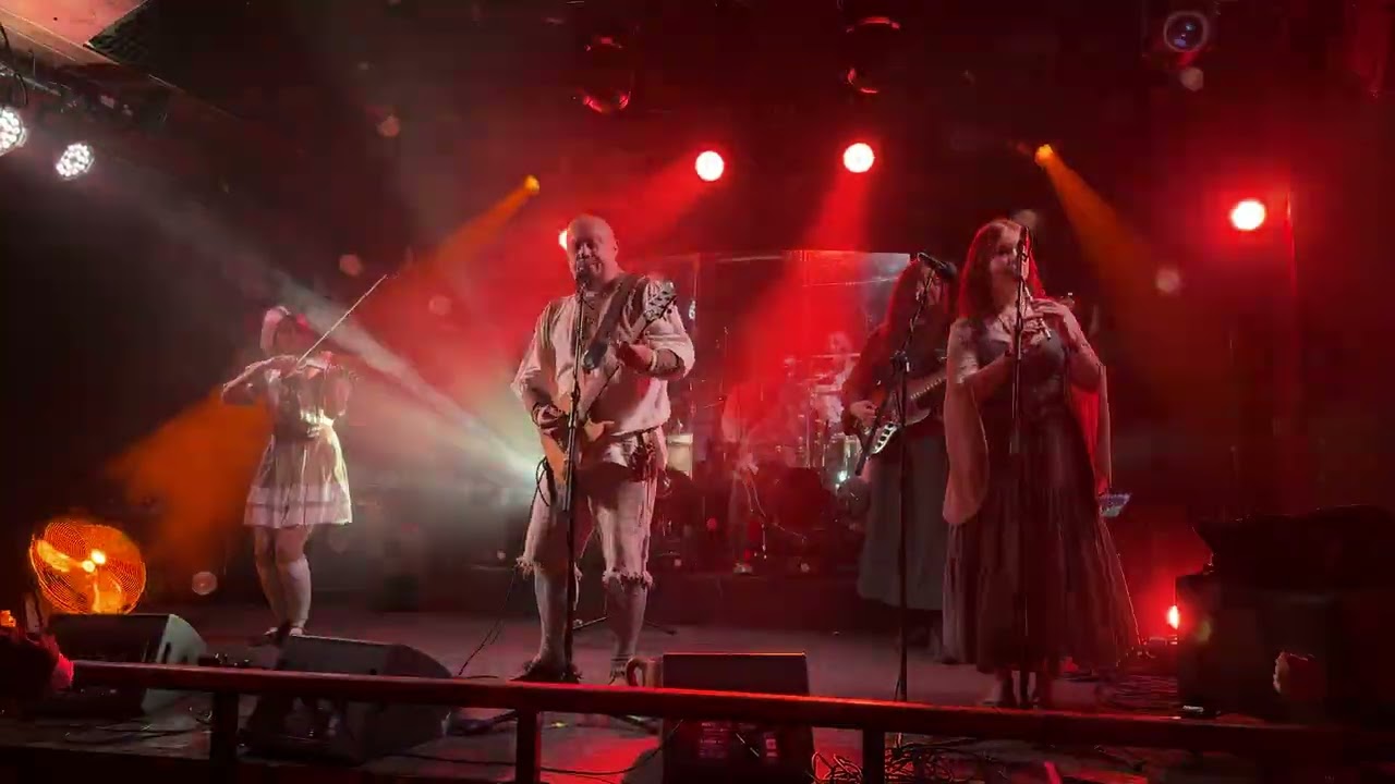 Тролль гнет ель | Выпить залпом (live Sherwood pub 22.02.2026)