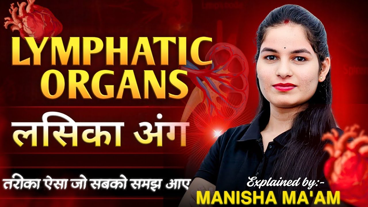 Lymphatic Organs in Hindi | लसीका अंग | Anatomy & Functions for MLT Students | by Manisha Ma'am