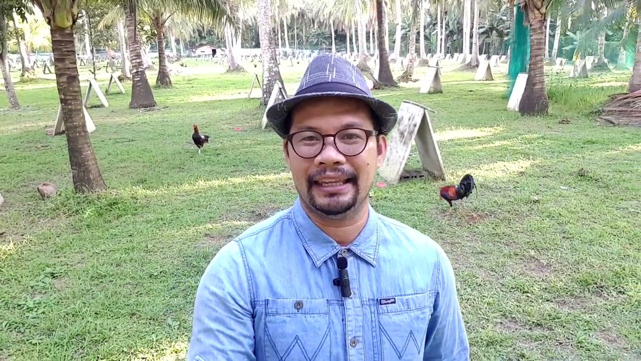 Bakit Importante na Mag Priming ng mga Breeding Stocks bago isalang sa Breeding Pens