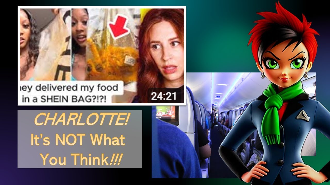 Flight Attendant Reacts to Charlotte Dobre's Shocking Bathroom Story