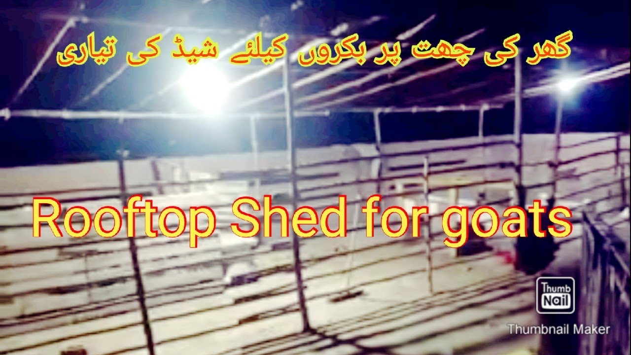 How to make Goat Shed at Rooftop