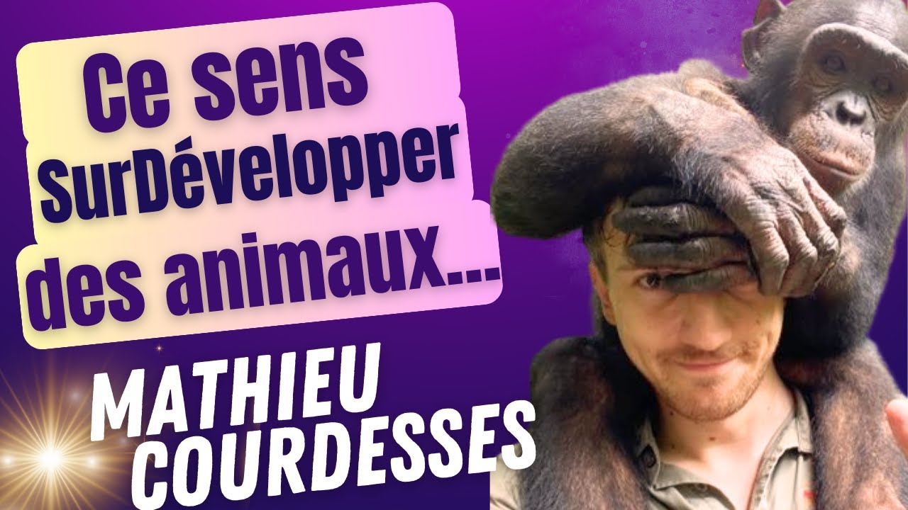 Et si nous pouvions développer notre instinct comme les animaux... (MATHIEU COURDESSES)