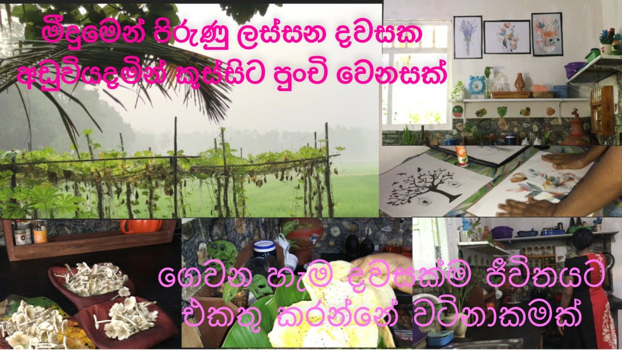 අඩු වියදමින් කුස්සියට පුංචි ලස්සනක් එකතුකරගත්තා💁🏻‍♀️🏞
