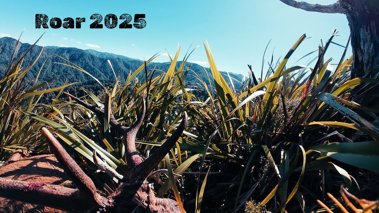 Ridges, Rivers and Red Stags | Roar 2025