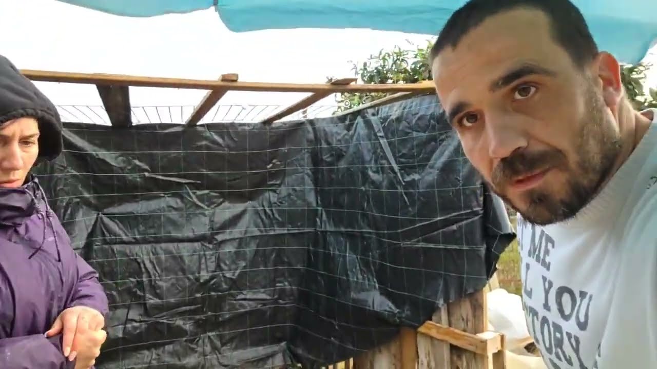 Construyendo el techo del refugio (directo de Twitch)