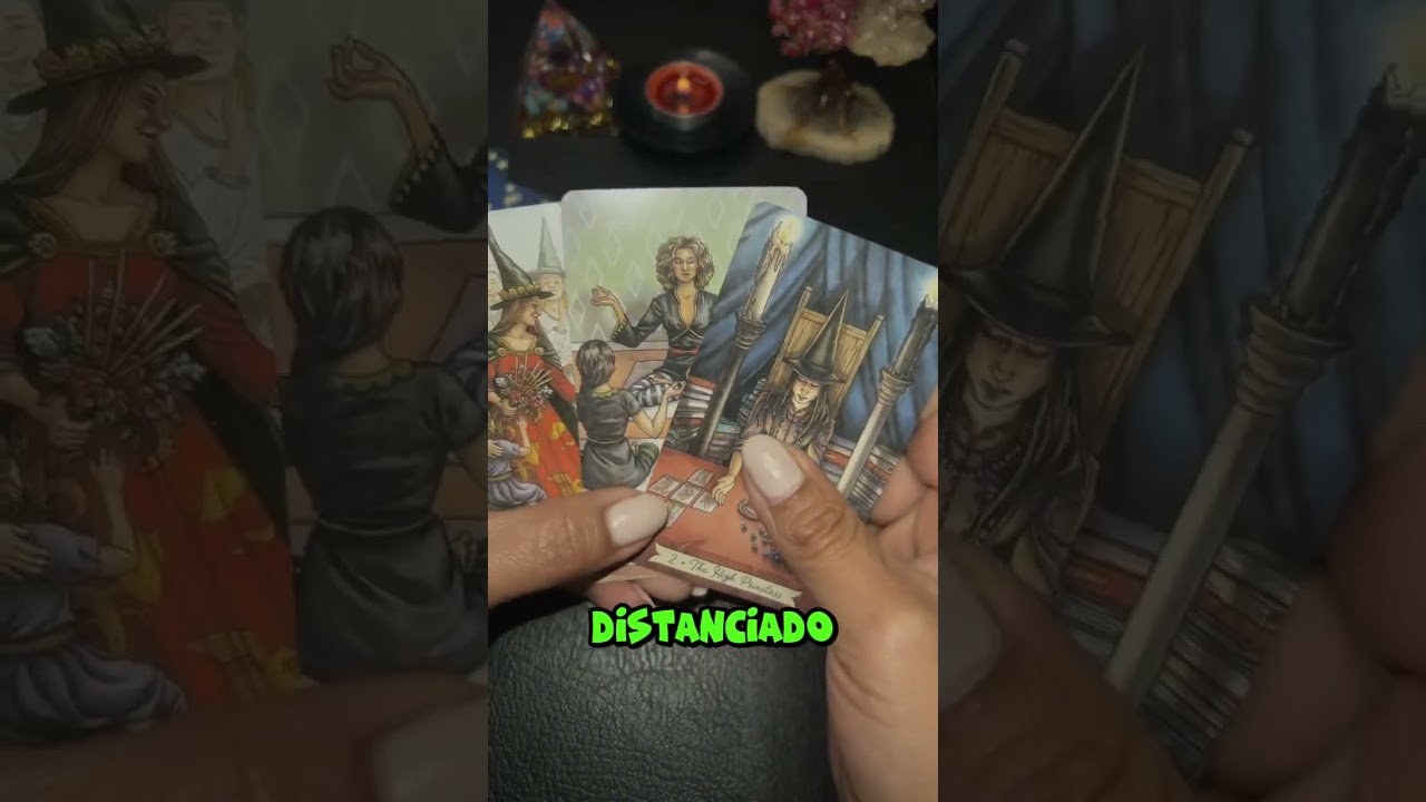 por esta razon se distancio de ti #tarot #tarotmexico #lecturacartas #tarotinteractivo #taromancia