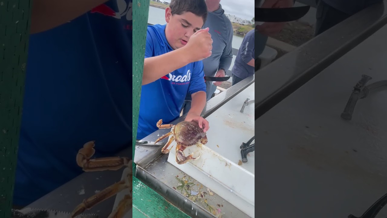 How to crack a crab 🦀 #fishing #god #shortvideo #shorts #shortsvideo #crab #fyp #shortvideo #water