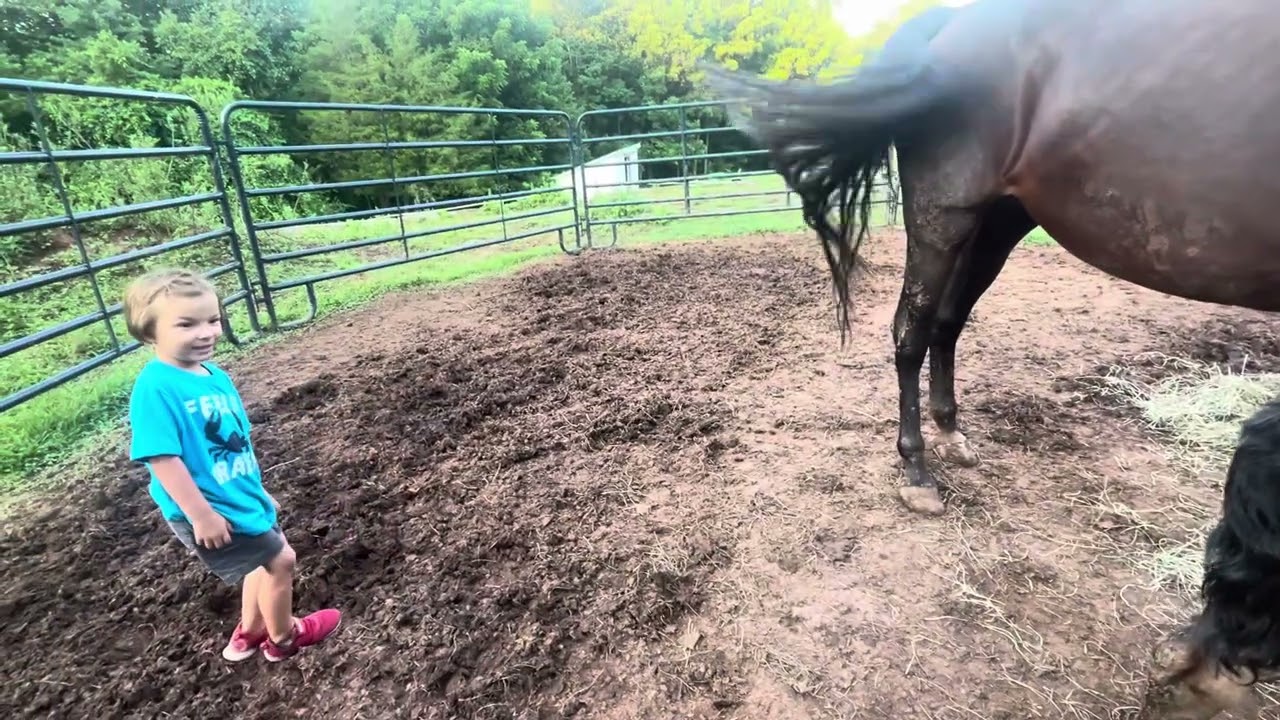 Dinner Time Lessons 