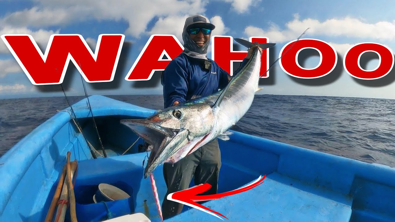 ¡EL JIGGING ES LO MEJOR! PESCA EN MAR ABIERTO CON JIGS