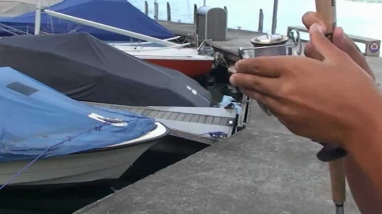 pesca al persico da riva