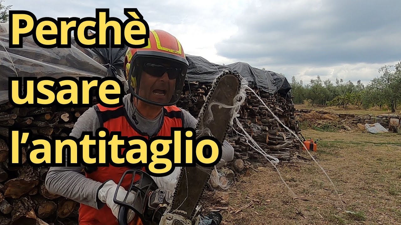 Perché usare indumenti anti taglio con la motosega