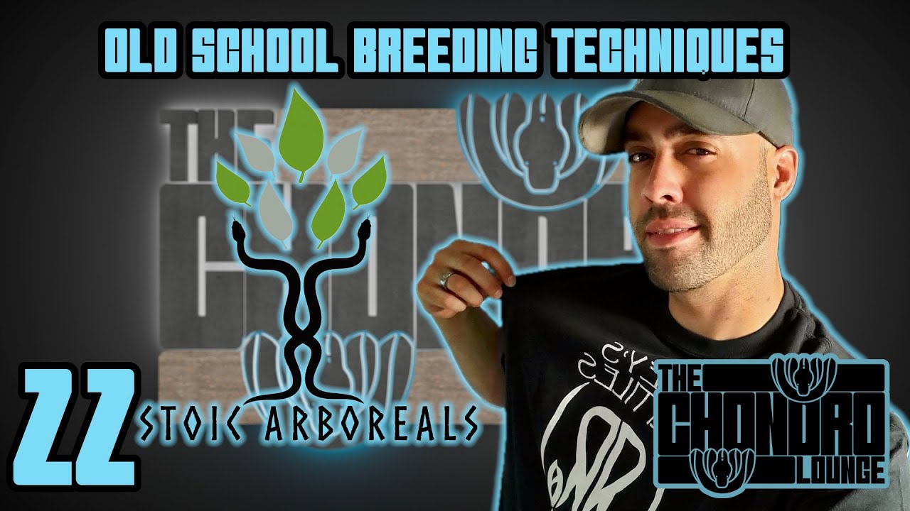 Old School Breeding | w/Randy of Stoic Arboreals | The Chondro Lounge #22