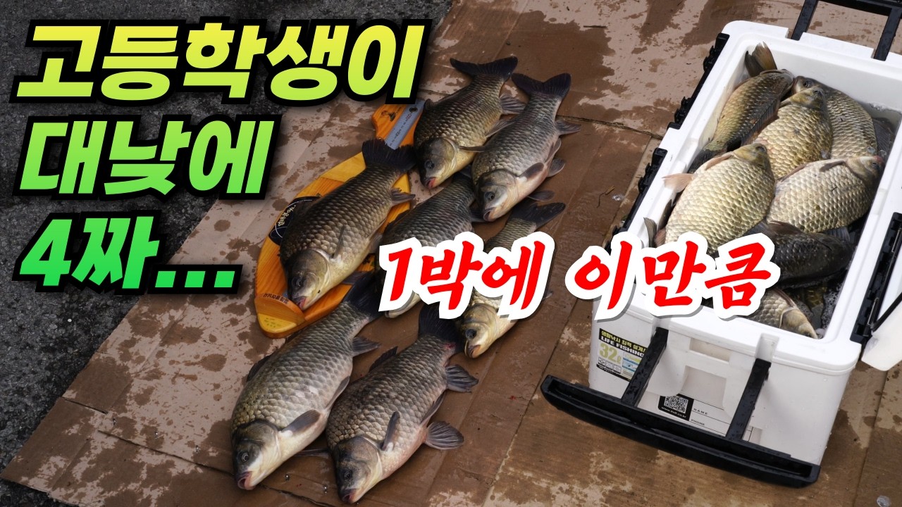 하나같이 전부 엄청난 대물들, 터지면 무섭게 나와버립니다 / 황룡강 붕어낚시 / 얼레붕어낚시 정출