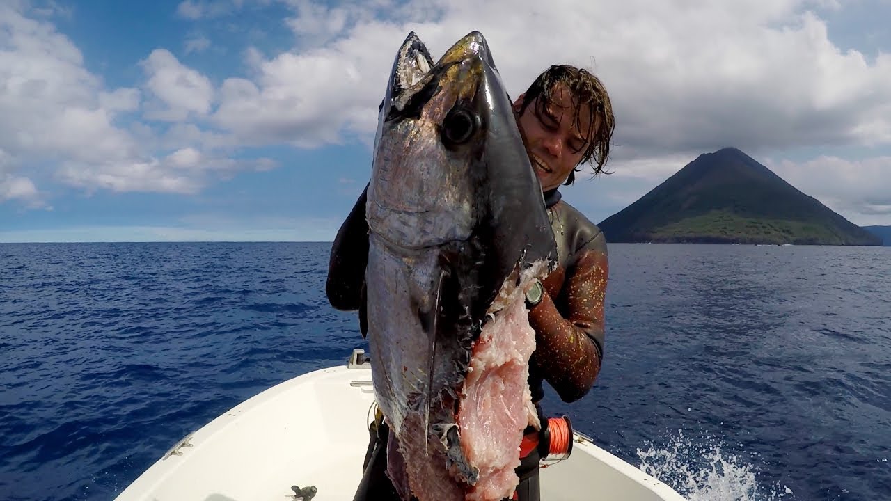 My first time spearfishing for DOGTOOTH TUNA !