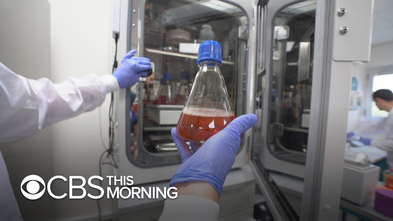 Inside the labs crafting slaughter-free meat