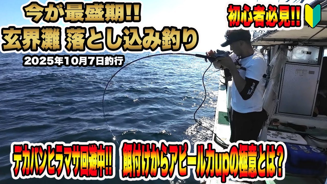 【玄海灘】今が熱い❕❕玄界灘落とし込み釣り 餌のイワシのアピール力アップで釣果爆上がり❕その方法とは…#釣り #落とし込み #玄界灘 #ヒラマサ