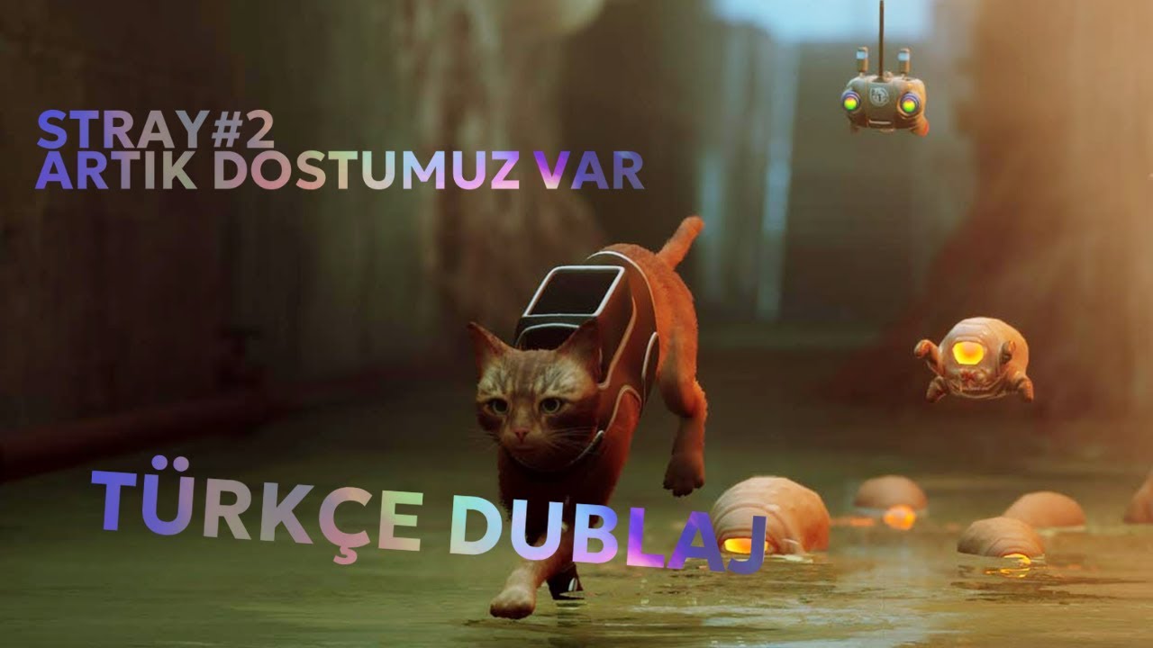 STRAY# 2 ARTIK DOSTUMUZ VAR( TR DUBLAJ)