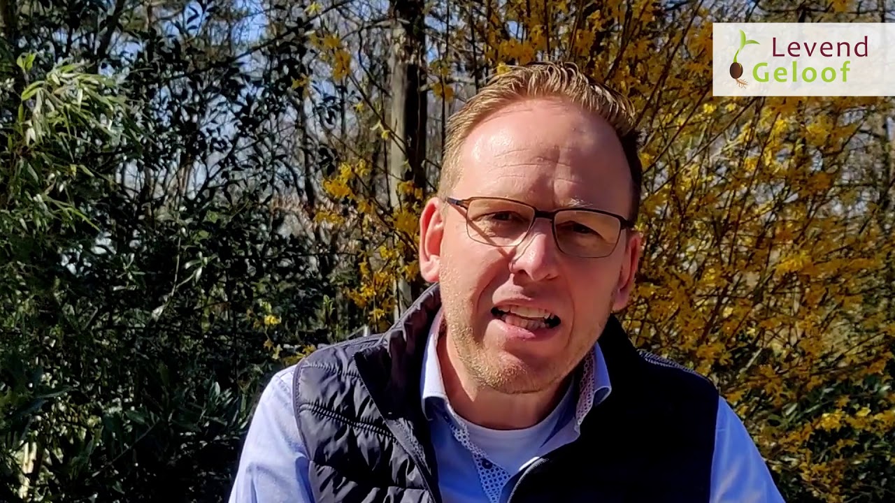 Arjan Baan: 
