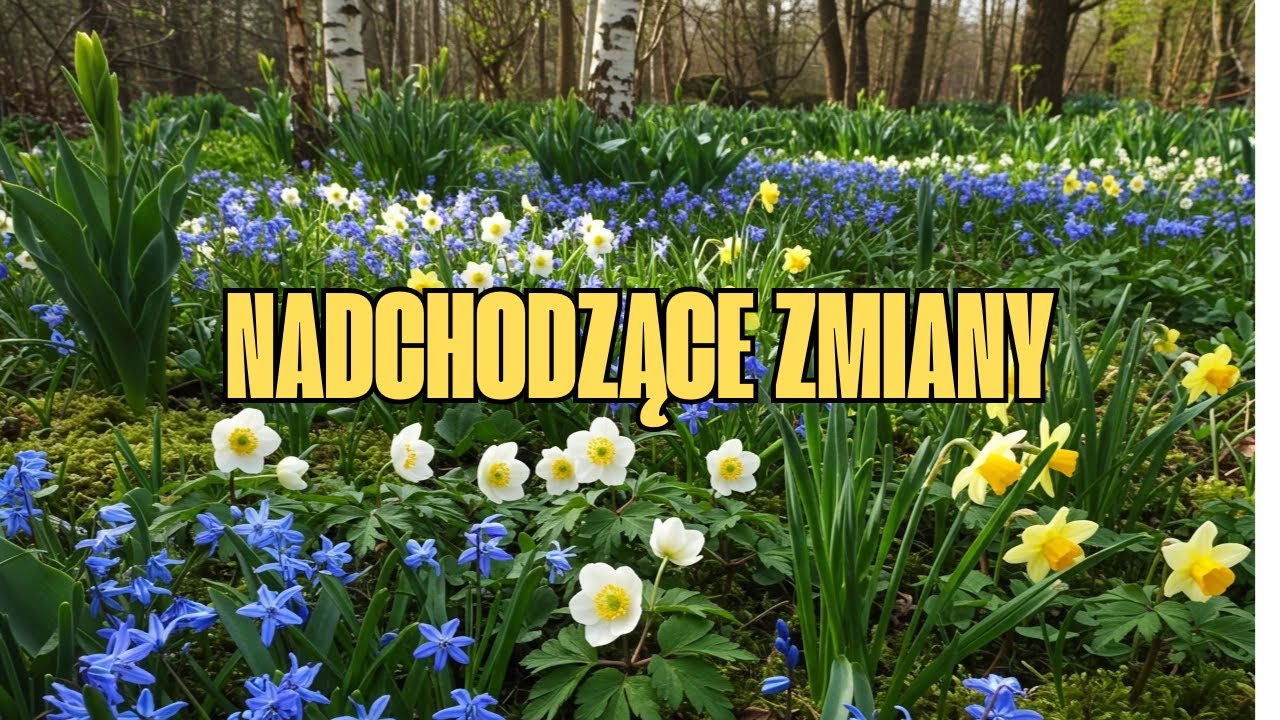 prognoza na najbliższy miesiąc