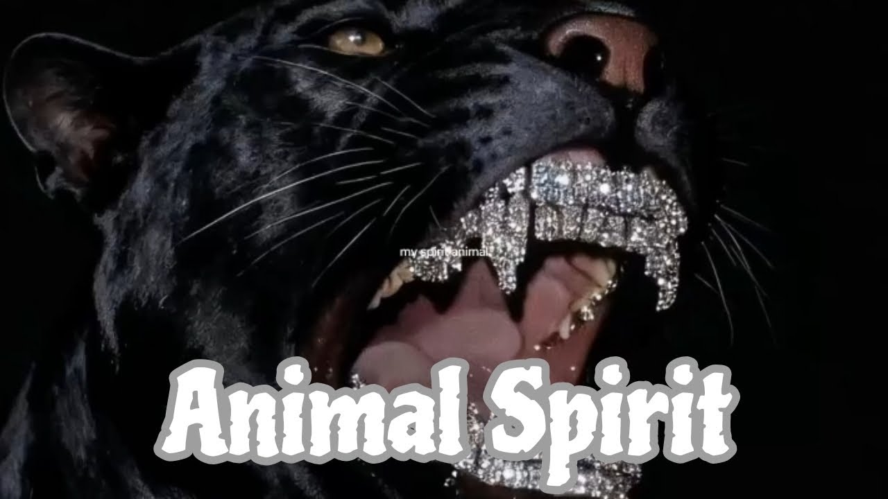 ANIMAL SPIRIT 🖤