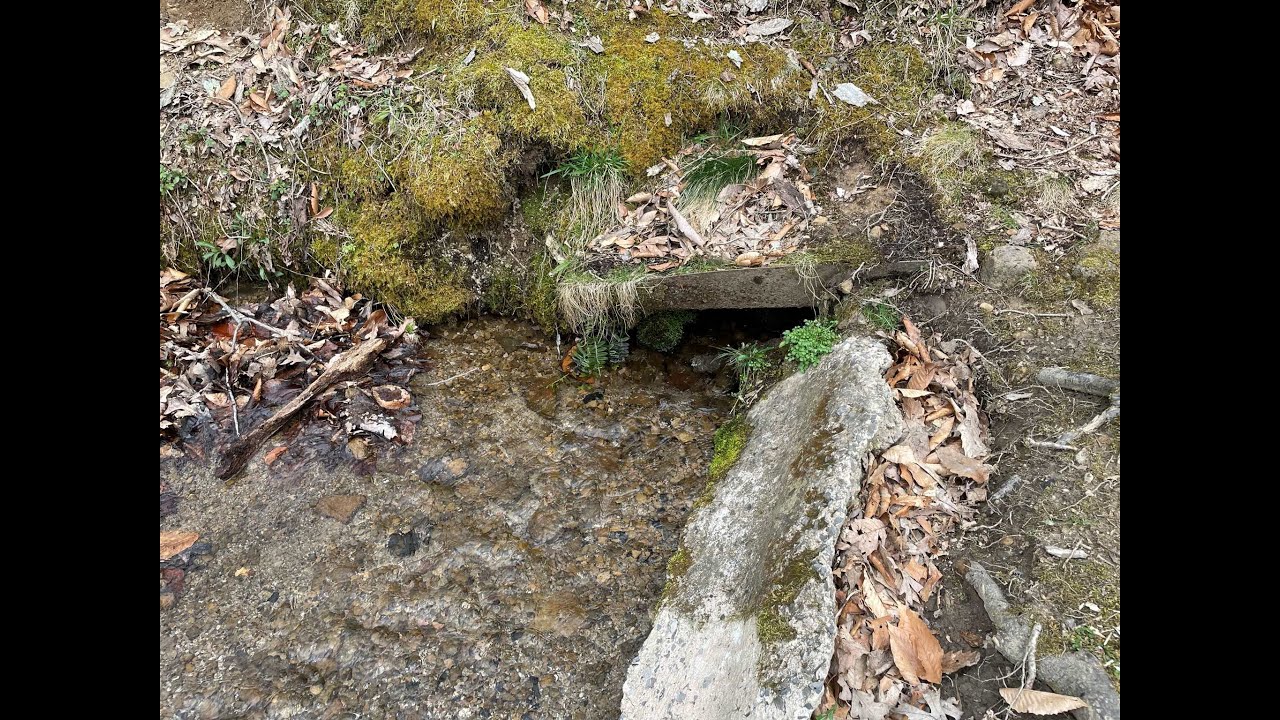 Mondays with Martha #149 - Black Spring in Bedford Pennsylvania