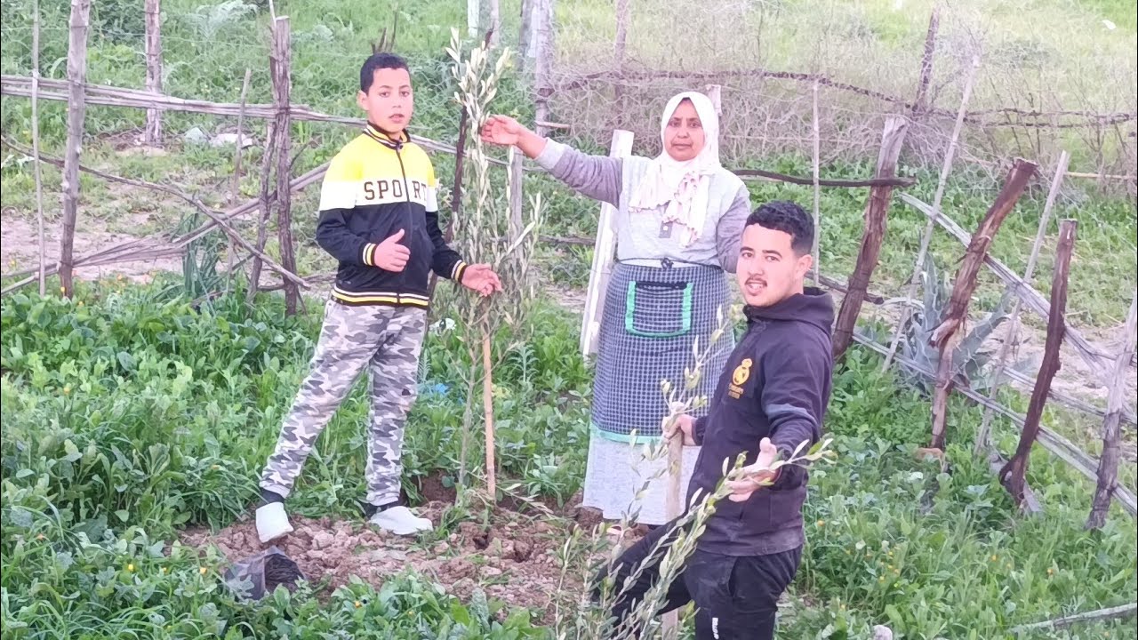 طلب ديلكم رأيكم فهذا شي غذي تكون مفركع زيدو أفكاركم