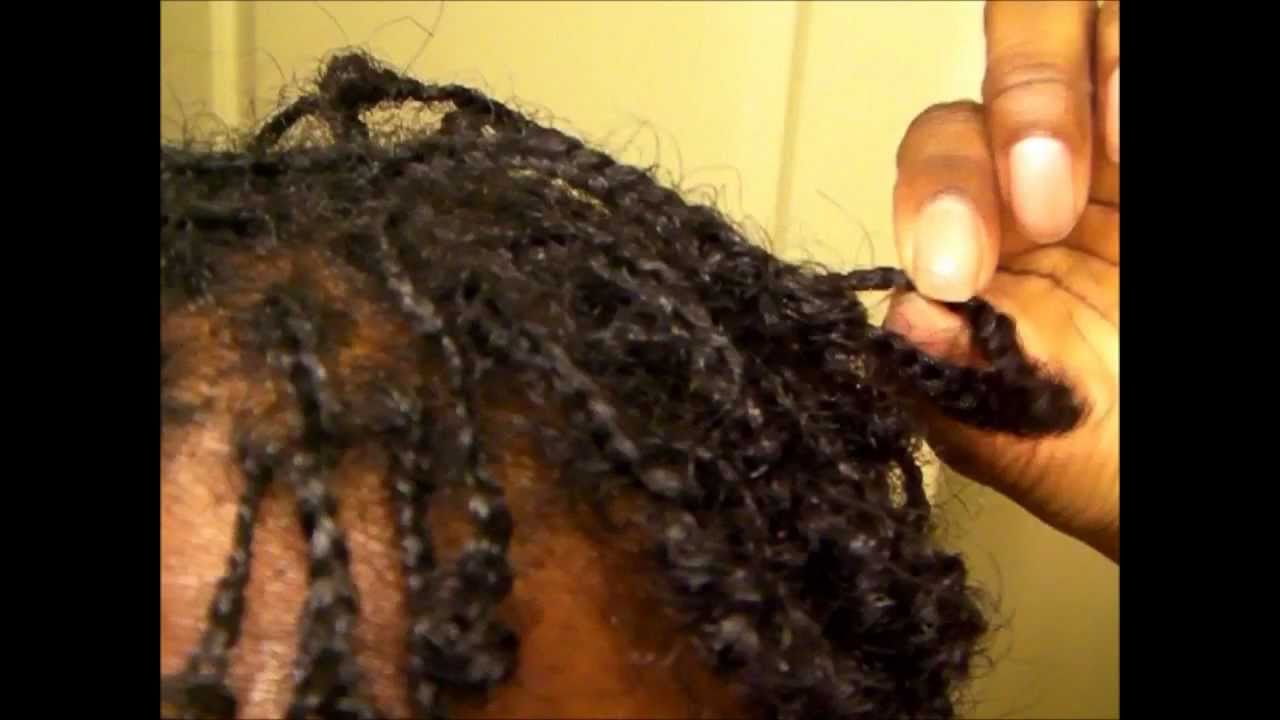 Mini Braids on Short Natural Hair