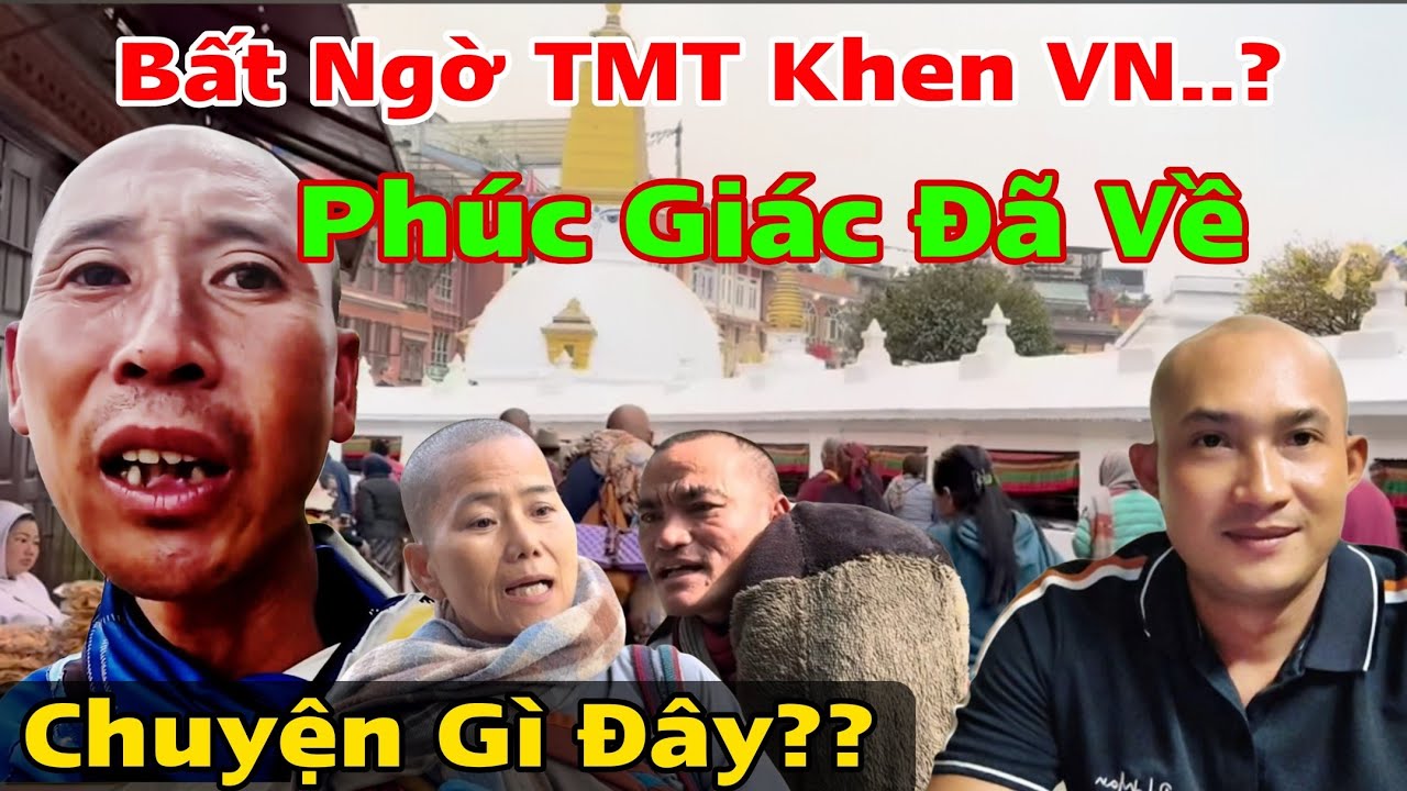 #84. Cực Nóng Thích Minh Tuệ Muốn Hồi Hương?? Phúc Giác Đã Về.. Chuyện Gì Đây..