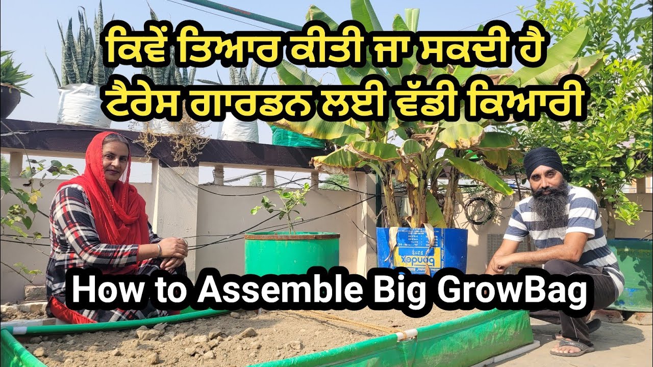 ਟੈਰੇੱਸ ਗਾਰਡਨ ਲਈ ਕਿਓਂ ਜਰੂਰੀ ਹੈ ਇਸ ਤਰ੍ਹਾਂ ਦੀ ਪਲਾਸਟਿਕ ਦੀ ਕਿਆਰੀ || Big Grow Bag For Terrace Garden ||