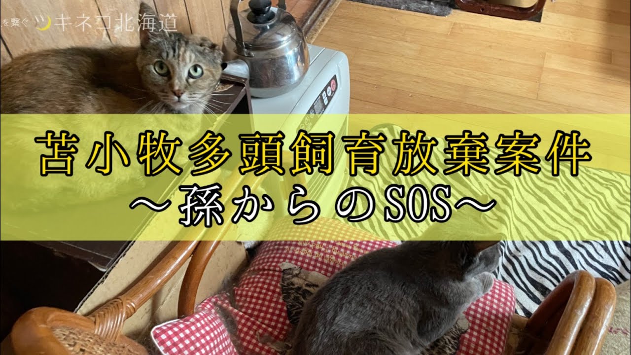 苫小牧多頭飼育崩壊〜孫からのSOS〜