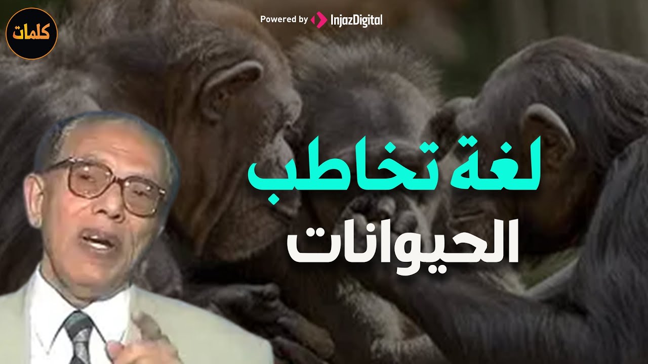 كيف تتكلم  الحيوانات مع بعضها وهل لها لغة للتخاطب  د/ مصطفى محمود