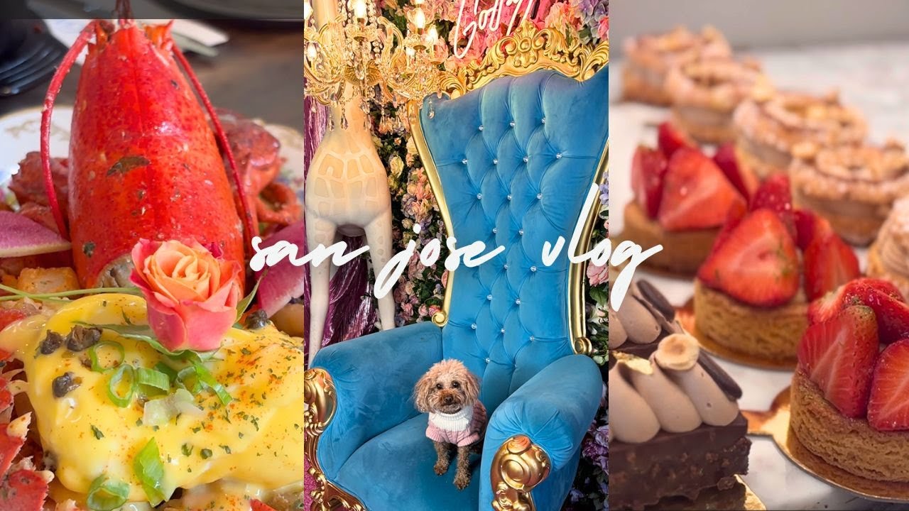 [Foodie vlog] A Taste of Elegance: Luxurious Brunch in the Bay #sjvlogs #sanjose #bayareafoodie